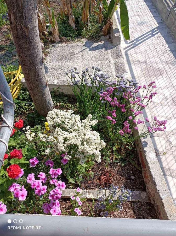شقة Rania'S House Méthana المظهر الخارجي الصورة